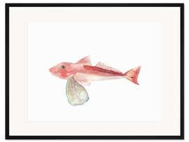 Gerahmter Kunstdruck Knurrhahn