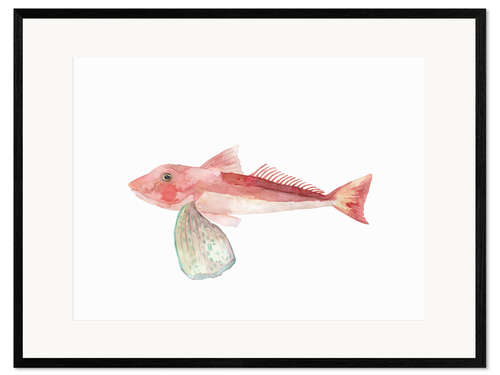 Kunsttryk i ramme Sea Life Gurnard