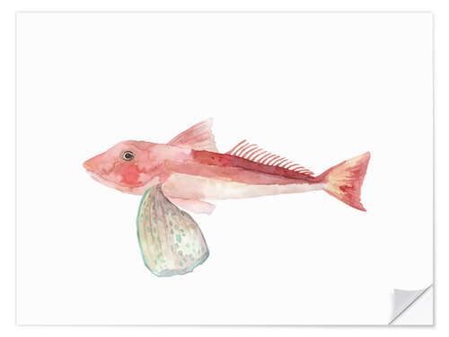 Vinilo para la pared Sea Life Gurnard