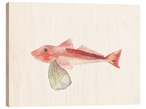 Quadro de madeira Sea Life Gurnard