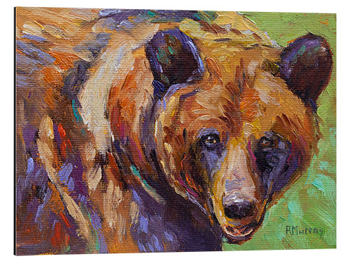 Aluminium print Martha the grizzly bear