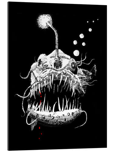 Acrylic print Angler Fish