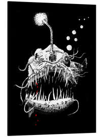 Aluminium print Angler Fish