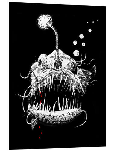 Foam board print Angler Fish