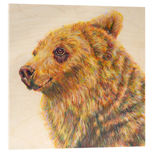 Acrylglasbild Berkley der Grizzlybär