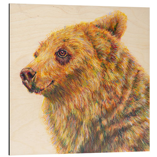 Aluminiumtavla Berkley the Bodacious Grizzly Bear