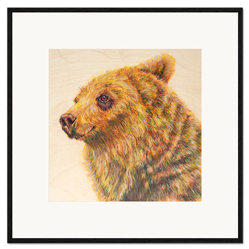 Gerahmter Kunstdruck Berkley der Grizzlybär