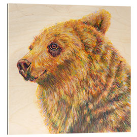 Quadro em plexi-alumínio Berkley the Bodacious Grizzly Bear