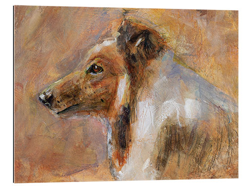 Gallery print Faithful Collie