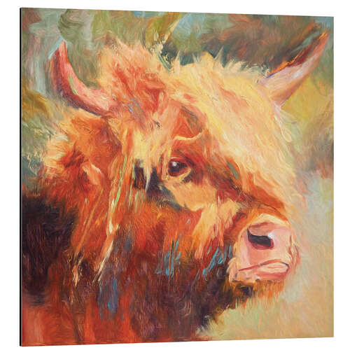 Cuadro de aluminio Highland cattle