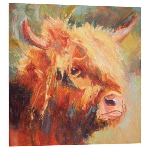 Foam board print Highland cattle