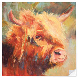 Selvklebende plakat Highland cattle