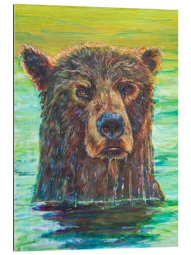 Quadro em plexi-alumínio Grizzly bear taking a morning bath