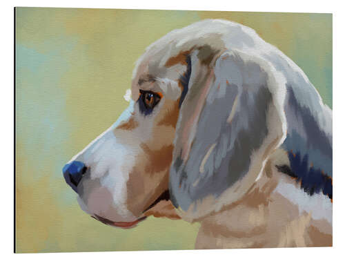 Cuadro de aluminio The Beagle