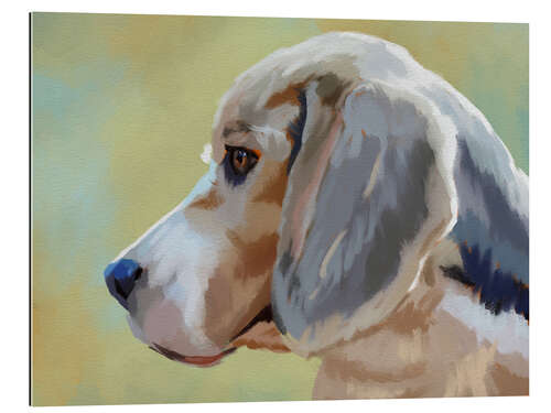 Quadro em plexi-alumínio The Beagle