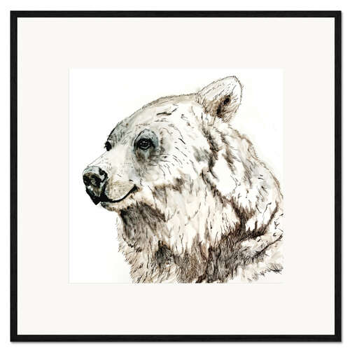 Framed art print Grizzly bear ink drawing