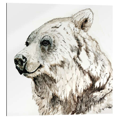 Cuadro de plexi-alu Grizzly bear ink drawing