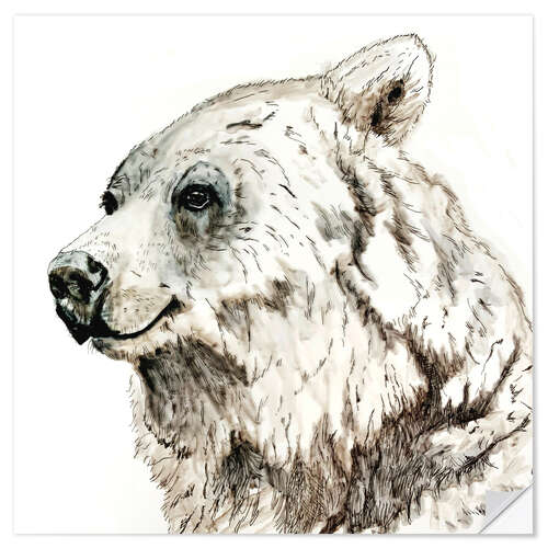 Selvklebende plakat Grizzly bear ink drawing