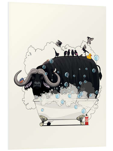 Foam board print Buffalo in the Bath