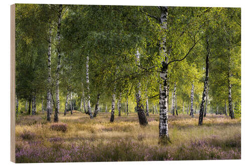 Holzbild Heide und Birken im Abendlicht