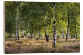 Trätavla Heath and birches in the evening light