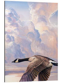 Magnettafel Fliegen II