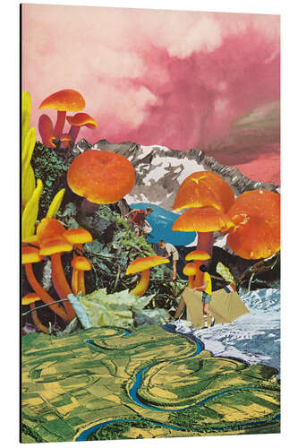 Aluminium print Mushroom Valley