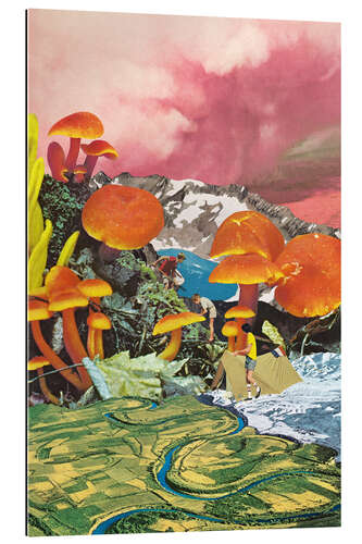 Galleriprint Mushroom Valley