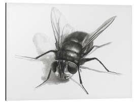 Aluminium print Fly