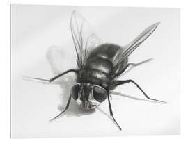 Gallery print Fly