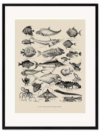 Stampa artistica con cornice Odd Fish at the International Fisheries Exhibition