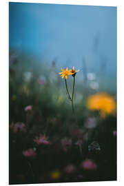 Foam board print Mountain flowers