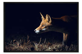 Gerahmter Kunstdruck Neugieriger Fuchs