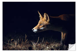 Selvklebende plakat Curious fox