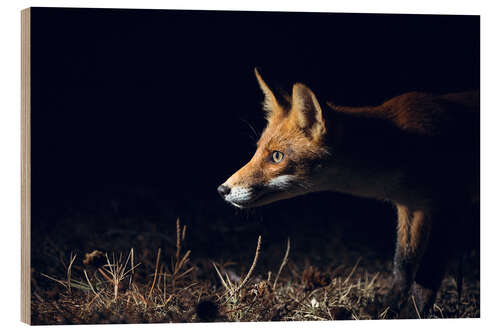 Wood print Curious fox