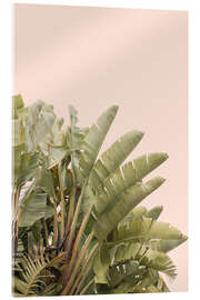 Acrylic print Banana leaves on Pastel