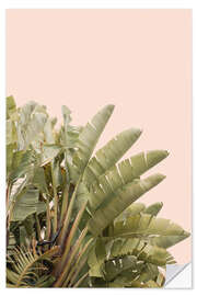 Wall sticker Banana leaves on Pastel