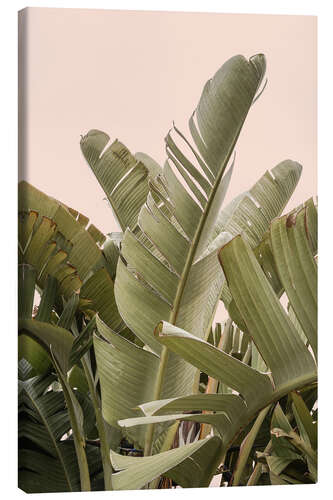 Stampa su tela Banana leaves on Pastel II