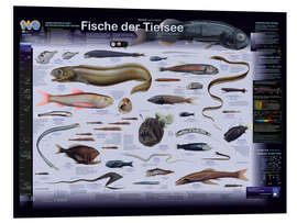 Foam board print Fish of the deep sea (German)