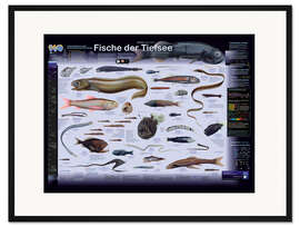 Gerahmter Kunstdruck Fische der Tiefsee