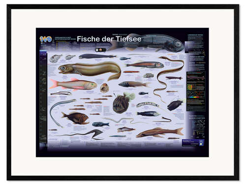 Impresión de arte enmarcada Peces de aguas profundas (alemán)
