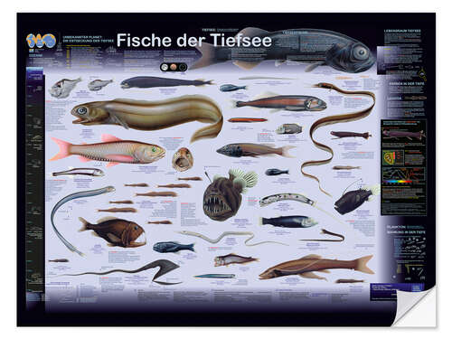 Wandsticker Fische der Tiefsee