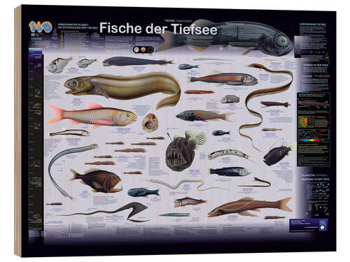 Holzbild Fische der Tiefsee