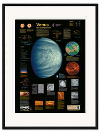 Gerahmter Kunstdruck Venus