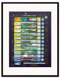 Gerahmter Kunstdruck Lebendiger Planet - Planet Poster Editions