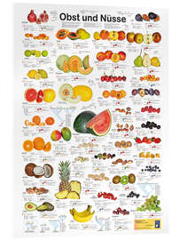 Acrylglasbild  Obst und Nüsse - Planet Poster Editions