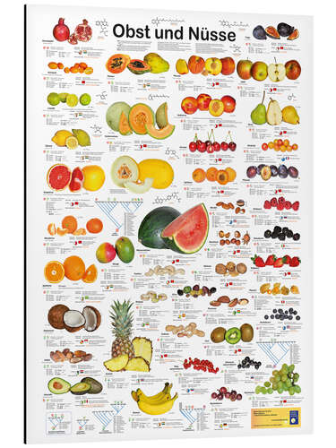 Aluminium print Fruits and nuts (German)