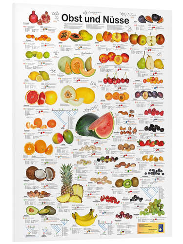 Foam board print Fruits and nuts (German)