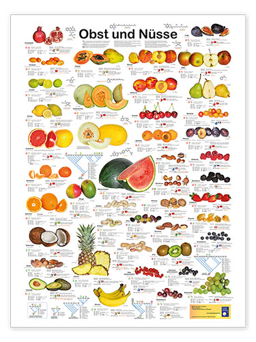 Poster Vruchten en noten (Duits)