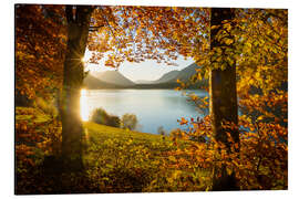 Alubild Herbst am Sylvensteinsee